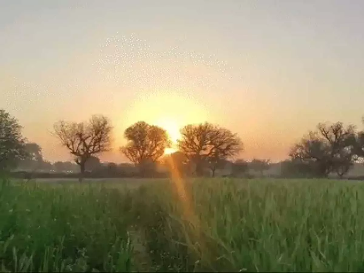 रायपुर सबसे गर्म रहा, अगले 2 दिन और ज्यादा झेलने पड़ेंगे धुप की तपिश रायपुर सबसे गर्म रहा, अगले 2 दिन और ज्यादा झेलने पड़ेंगे धुप की तपिश