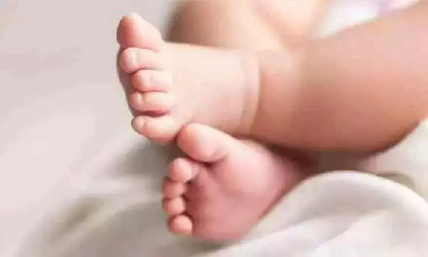 Visakhapatnam अस्पताल में नवजात शिशुओं की अदला-बदली से अफरा-तफरी मची Visakhapatnam अस्पताल में नवजात शिशुओं की अदला-बदली से अफरा-तफरी मची
