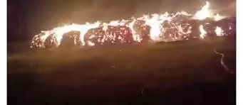 Haryana : भीषण आग से 95 एकड़ पशु चारा जलकर राख Haryana : भीषण आग से 95 एकड़ पशु चारा जलकर राख