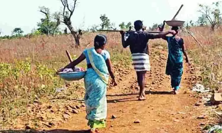Tamil Nadu: कार्यान्वयन में पारदर्शिता बढ़ाने के लिए 14 जिलों में लोकपाल नियुक्त करेगी Tamil Nadu: कार्यान्वयन में पारदर्शिता बढ़ाने के लिए 14 जिलों में लोकपाल नियुक्त करेगी