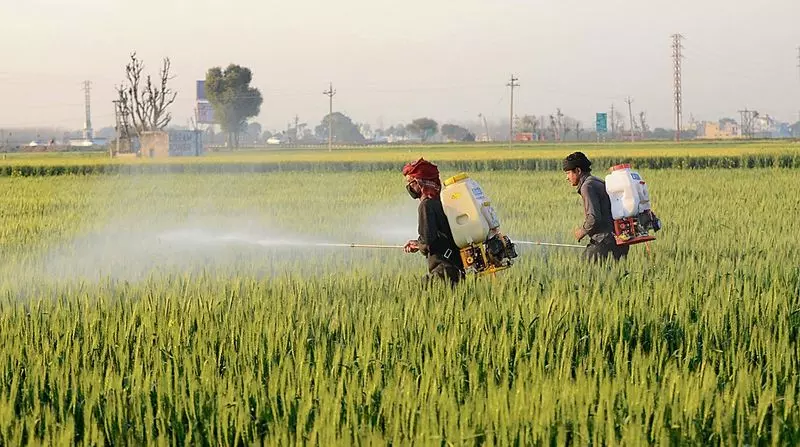 Haryana : कृषि मंत्रालय ने कई राज्यों में यूरिया, डीएपी के उपयोग में तेज वृद्धि की ओर इशारा किया Haryana : कृषि मंत्रालय ने कई राज्यों में यूरिया, डीएपी के उपयोग में तेज वृद्धि की ओर इशारा किया