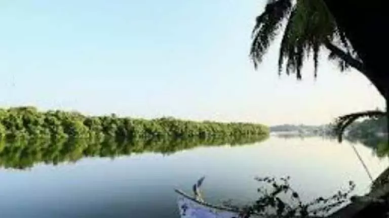 Salcete में साल नदी गंभीर प्रदूषण से ग्रस्त, पर्यावरणविदों ने चिंता जताई Salcete में साल नदी गंभीर प्रदूषण से ग्रस्त, पर्यावरणविदों ने चिंता जताई
