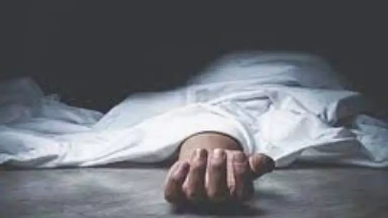 Goa में खड़े कंटेनर ट्रक से रिक्शा की टक्कर में पश्चिम बंगाल निवासी की मौत Goa में खड़े कंटेनर ट्रक से रिक्शा की टक्कर में पश्चिम बंगाल निवासी की मौत