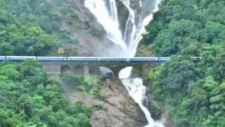REC ने विवादास्पद मोलेम रेलवे दोहरीकरण परियोजना के लिए वन मंजूरी पर निर्णय स्थगित किया REC ने विवादास्पद मोलेम रेलवे दोहरीकरण परियोजना के लिए वन मंजूरी पर निर्णय स्थगित किया