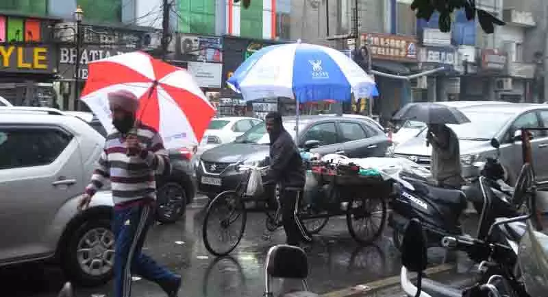 Amritsar: बारिश से तापमान में गिरावट, ओलावृष्टि की आशंका से किसान चिंतित Amritsar: बारिश से तापमान में गिरावट, ओलावृष्टि की आशंका से किसान चिंतित