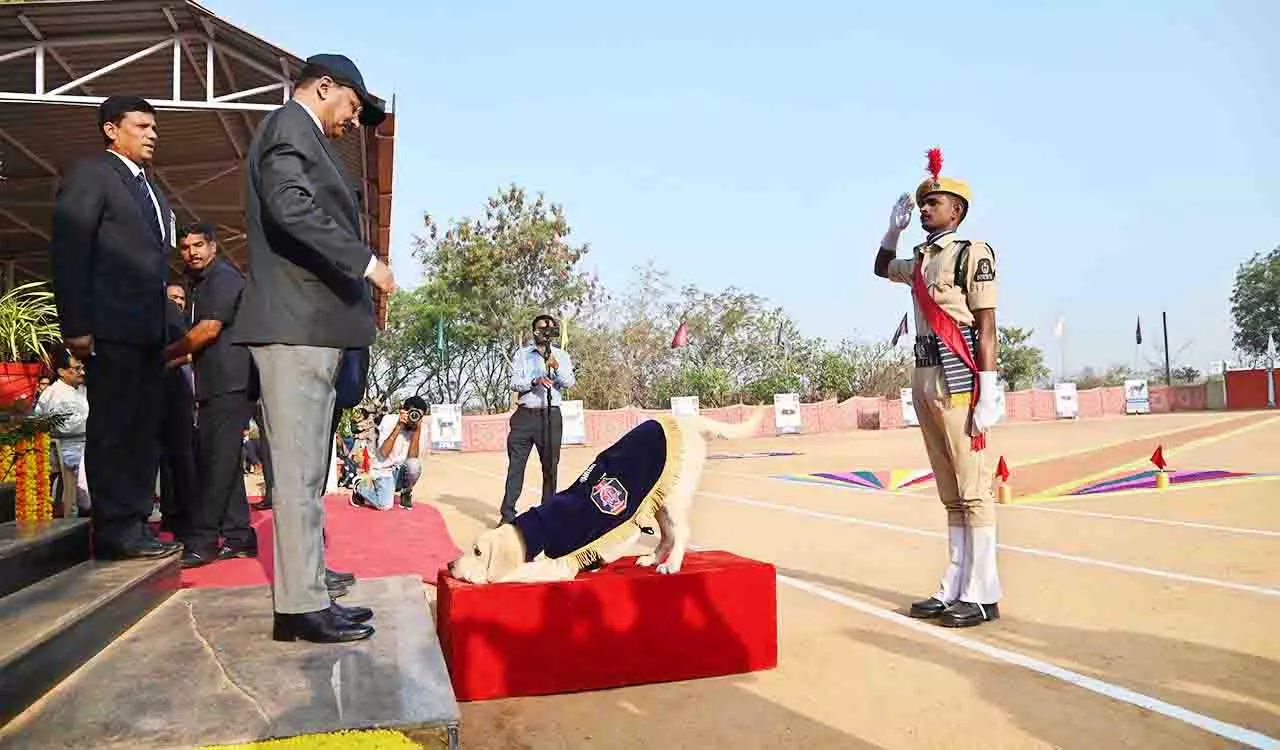 Hyderabad: उच्च प्रशिक्षित पुलिस कुत्ते आगामी चुनौतियों के लिए तैयार Hyderabad: उच्च प्रशिक्षित पुलिस कुत्ते आगामी चुनौतियों के लिए तैयार