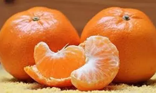 Health: डिप्रेशन से बचाव में मददगार है ये खट्टा फल