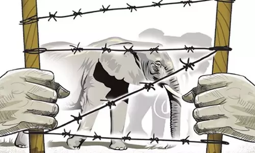 Kerala: केरल सरकार मानव हत्या को समाप्त करने के लिए कार्य योजना तैयार करेगी Kerala: केरल सरकार मानव हत्या को समाप्त करने के लिए कार्य योजना तैयार करेगी