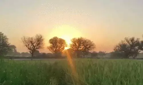 रायपुर सबसे गर्म रहा, अगले 2 दिन और ज्यादा झेलने पड़ेंगे धुप की तपिश