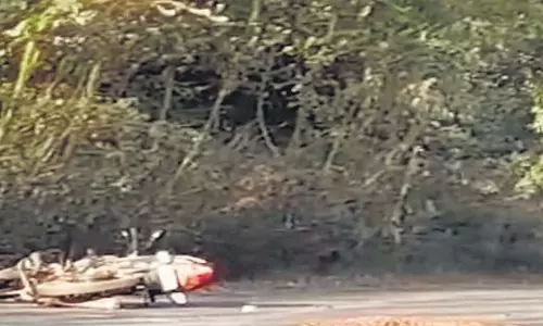 Tamil Nadu: तेंदुए के बाइक सवार का रास्ता पार करने से दहशत
