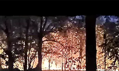 Odisha: वन क्षेत्र में आग लग गई और पेड़ जलने लगे