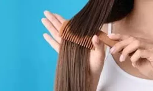 Hair Care: बालों की ग्रोथ बढ़ाना चाहते हैं तो आजमाएं ये आसान टिप्स Hair Care: बालों की ग्रोथ बढ़ाना चाहते हैं तो आजमाएं ये आसान टिप्स