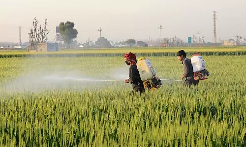 Haryana : कृषि मंत्रालय ने कई राज्यों में यूरिया, डीएपी के उपयोग में तेज वृद्धि की ओर इशारा किया