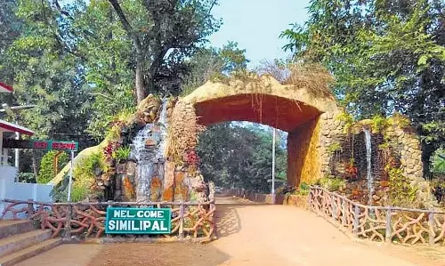 Odisha में जंगल की आग पर नजर रखने के लिए 20 ड्रोन का इस्तेमाल किया जाएगा