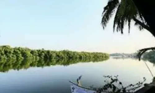 Salcete में साल नदी गंभीर प्रदूषण से ग्रस्त, पर्यावरणविदों ने चिंता जताई