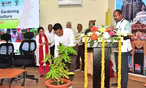 Odisha: शहरी ताप द्वीपों से लड़ने के लिए छतों और घरेलू उद्यानों पर ध्यान केंद्रित करें