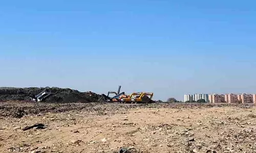 कोर्ट ने दादू माजरा डंप पर MC से हलफनामा मांगा