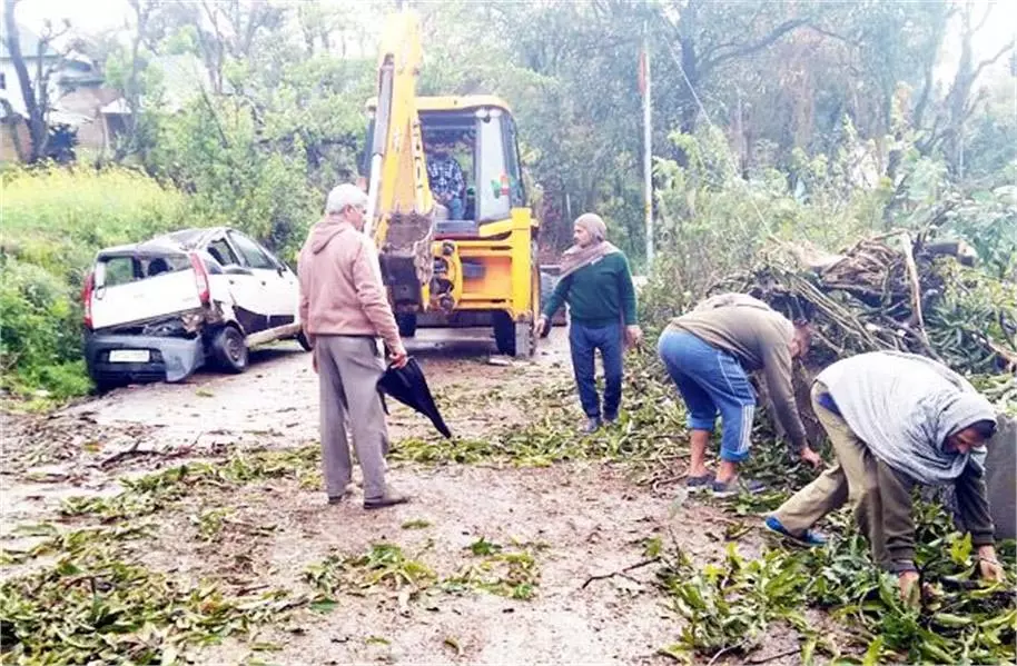 Hamirpur:अचानक वाहन पर गिरा आम का पेड़, स्कूली बच्चों ने भागकर बचाई जान Hamirpur:अचानक वाहन पर गिरा आम का पेड़, स्कूली बच्चों ने भागकर बचाई जान