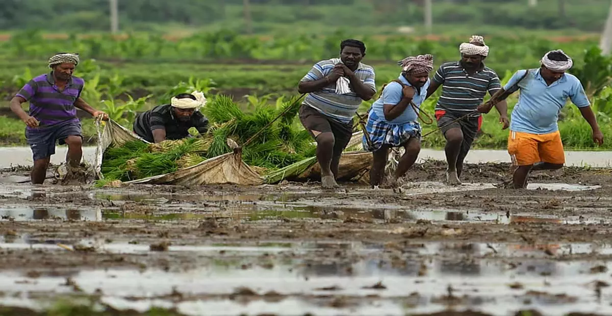 Andhra: कृषि और संबद्ध क्षेत्र आंध्र प्रदेश के विकास को गति देंगे Andhra: कृषि और संबद्ध क्षेत्र आंध्र प्रदेश के विकास को गति देंगे