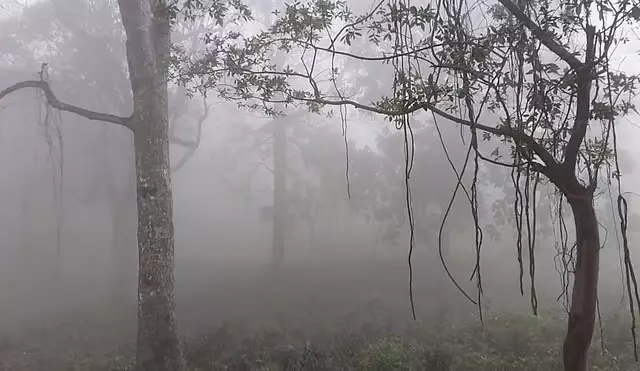 यरकौड में घना कोहरा: पर्यटकों में खुशी यरकौड में घना कोहरा: पर्यटकों में खुशी