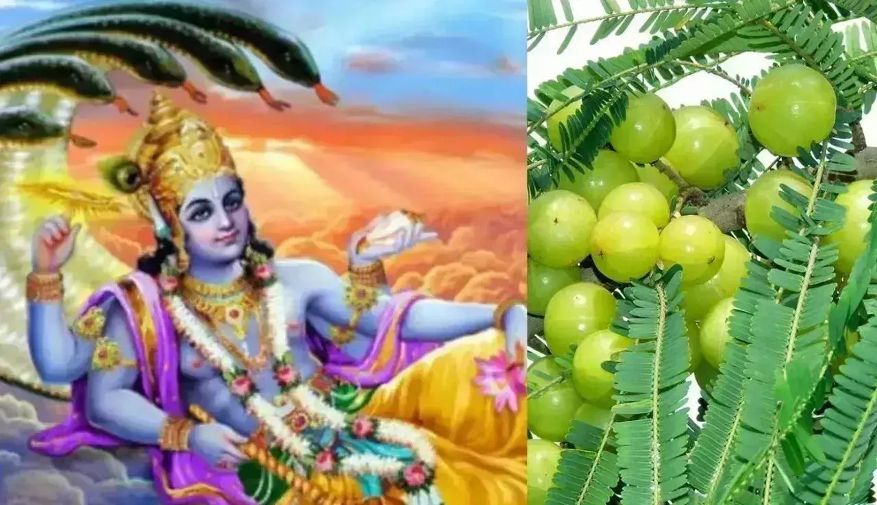 Amalaki Ekadashi पर करें इन मंत्रों का जाप, हर मनोकामना होगी पूरी Amalaki Ekadashi पर करें इन मंत्रों का जाप, हर मनोकामना होगी पूरी