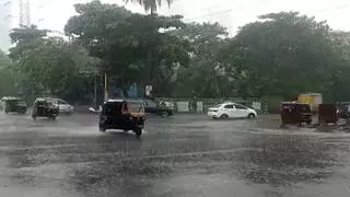 Rampur: हल्की बारिश से बदला मौसम , फसलों को मिलेगा लाभ Rampur: हल्की बारिश से बदला मौसम , फसलों को मिलेगा लाभ