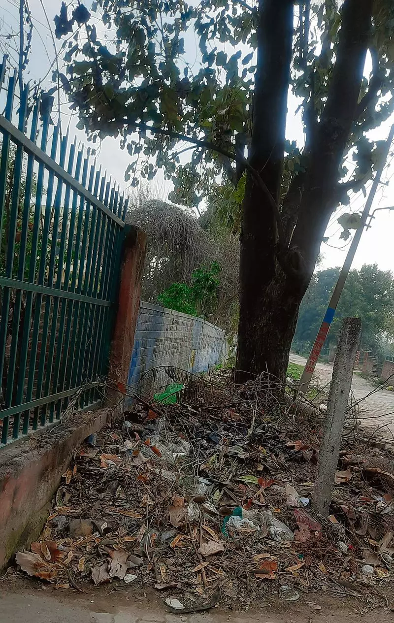 Haryana : स्वच्छ भारत मिशन को झटका लगा Haryana : स्वच्छ भारत मिशन को झटका लगा
