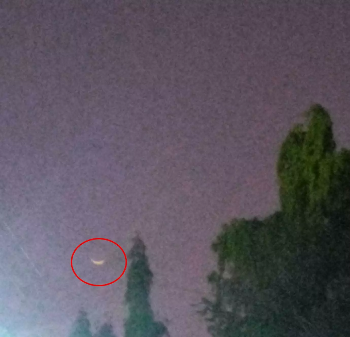 रायपुर में दिखा रमज़ान का चांद, कल से रखा जाएगा रोजा रायपुर में दिखा रमज़ान का चांद, कल से रखा जाएगा रोजा