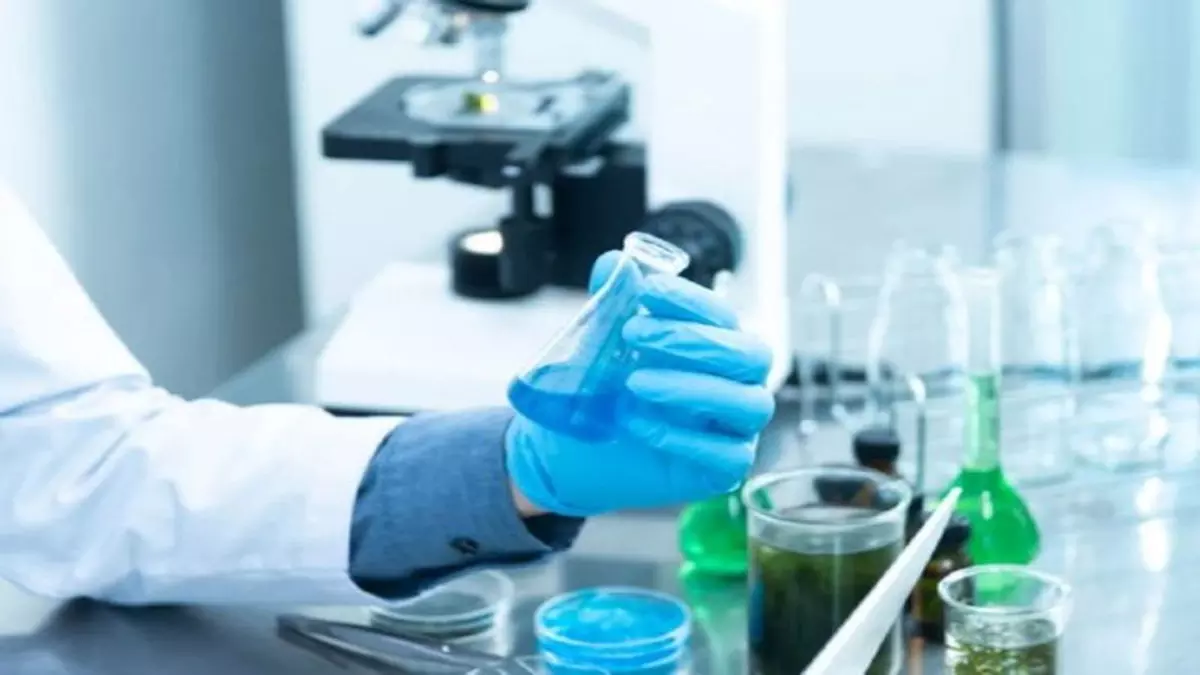 अल्जाइमर रोग के उपचार के लिए प्रमुख प्रोटीन की पहचान की गई- Study अल्जाइमर रोग के उपचार के लिए प्रमुख प्रोटीन की पहचान की गई- Study