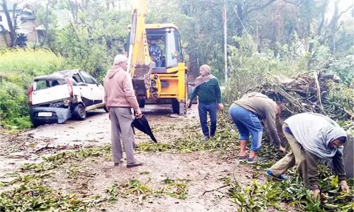 Hamirpur:अचानक वाहन पर गिरा आम का पेड़, स्कूली बच्चों ने भागकर बचाई जान