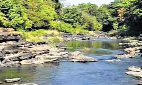 Karnataka: महादयी मुद्दे को सुलझाने के लिए गठित न्यायाधिकरण को 7वीं बार विस्तार मिला Karnataka: महादयी मुद्दे को सुलझाने के लिए गठित न्यायाधिकरण को 7वीं बार विस्तार मिला