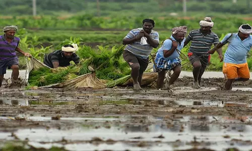 Andhra: कृषि और संबद्ध क्षेत्र आंध्र प्रदेश के विकास को गति देंगे