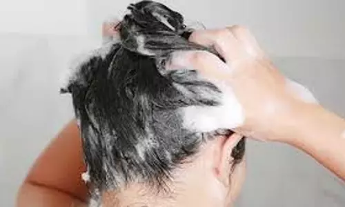 Fashion Tips: घर पर बनाएं ये हर्बल शैम्पू, बाल रहेंगे लंबे और मजबूत
