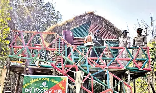 Odisha: वन अधिकारी हर साल जागरूकता कार्यक्रम आयोजित करते