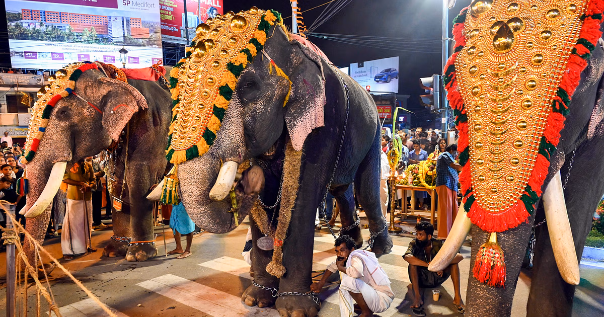 Kerala : एर्नाकुलम मंदिर उत्सव में हाथी ने उत्पात मचाया Kerala : एर्नाकुलम मंदिर उत्सव में हाथी ने उत्पात मचाया