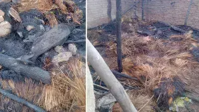 Lakhimpur Kheri: एक घर में भीषण आग लगने से 15 बकरियां जिंदा जलीं