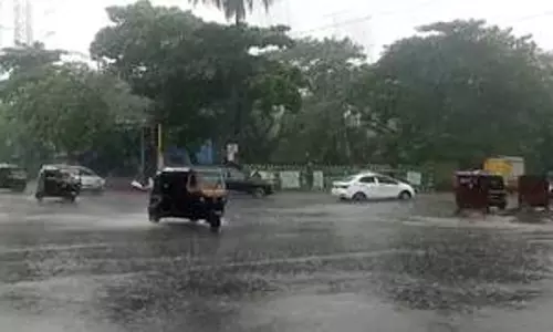Rampur: हल्की बारिश से बदला मौसम , फसलों को मिलेगा लाभ Rampur: हल्की बारिश से बदला मौसम , फसलों को मिलेगा लाभ