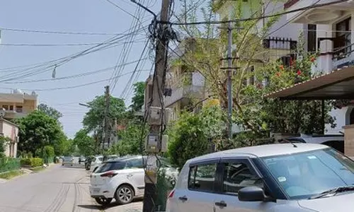 Haryana : भिवानी के वार्ड 17 को बंदरों से मुक्त करने के लिए नगर निगम ने शुरू