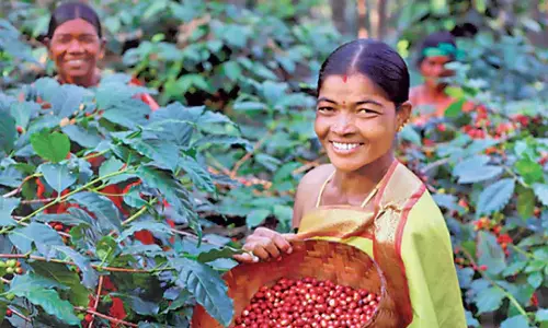 Andhra Budget: अनुसूचित जातियों और अनुसूचित जनजातियों के लिए आश्वासन