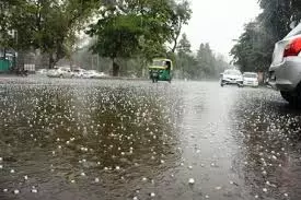 Up News: तेज हवाओं के साथ बारिश, कई जगहों पर गिरे ओले Up News: तेज हवाओं के साथ बारिश, कई जगहों पर गिरे ओले