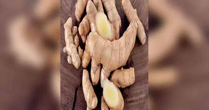 कैंसर रोधी गुणों से भरपूर ‘सफेद हल्दी’, इन बीमारियों के लिए है ‘अमृत’ कैंसर रोधी गुणों से भरपूर ‘सफेद हल्दी’, इन बीमारियों के लिए है ‘अमृत’