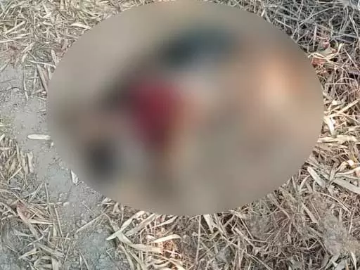 मालिक को बचाने बाघ से भिड़ गया पालतू कुत्ता, वफादारी की मिसाल बना! इलाज के दौरान मौत मालिक को बचाने बाघ से भिड़ गया पालतू कुत्ता, वफादारी की मिसाल बना! इलाज के दौरान मौत