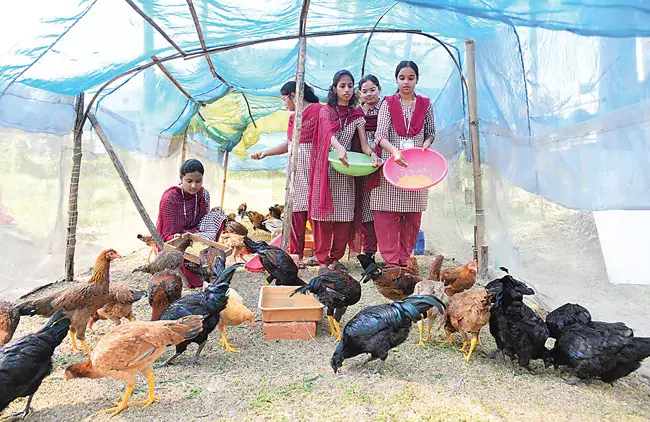 Telangana : विजयवाड़ा के कृषि डिग्री छात्रों ने नए पौधों की खेती शुरू की Telangana : विजयवाड़ा के कृषि डिग्री छात्रों ने नए पौधों की खेती शुरू की