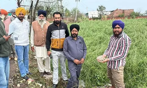 Patiala के गांव में ओलावृष्टि से 700 एकड़ गेहूं की फसल को नुकसान
