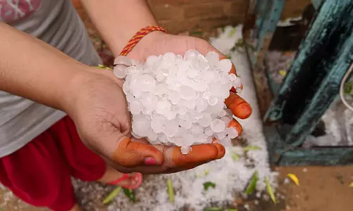 Rajasthan: कई इलाकों में बारिश और ओलावृष्टि, CM ने अधिकारियों को फसल नुकसान का सर्वेक्षण करने का आदेश दिया