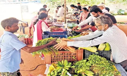 Andhra: जैविक उत्पादों को बढ़ावा देने के लिए अनोखा रविवारीय बाजार Andhra: जैविक उत्पादों को बढ़ावा देने के लिए अनोखा रविवारीय बाजार