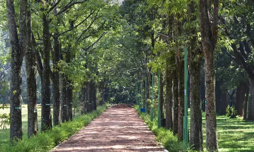 कब्बन पार्क: निजी आर्ट गैलरी का विरोध