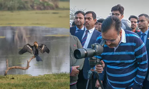 Jaipur: मुख्यमंत्री भजनलाल शर्मा ने केवलादेव राष्ट्रीय उद्यान में किया भ्रमण Jaipur: मुख्यमंत्री भजनलाल शर्मा ने केवलादेव राष्ट्रीय उद्यान में किया भ्रमण