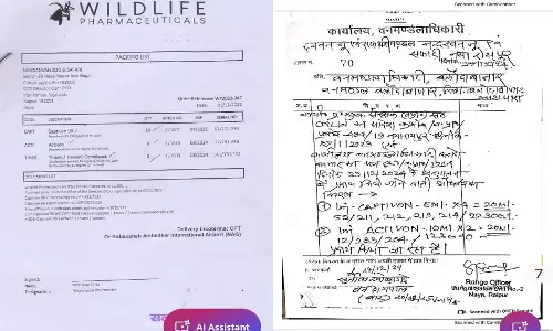 दस्तावेज बताते हैं बाईसन की हत्या की गई