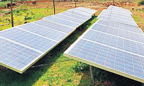 Bihar: सरकार कृषि के लिए 2.85 लाख और किसानों को बिजली कनेक्शन उपलब्ध कराएगी